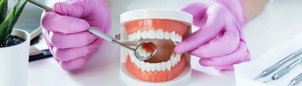 Szkolenia ortodontyczne